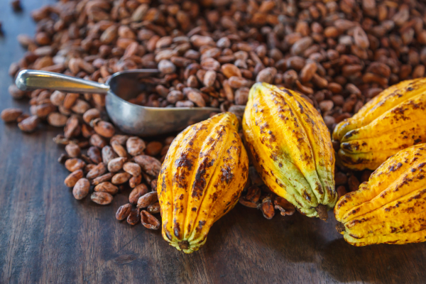 Cacao vs Cocoa - Which is Better