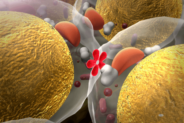 The Hidden Mechanisms Behind Insulin Resistance